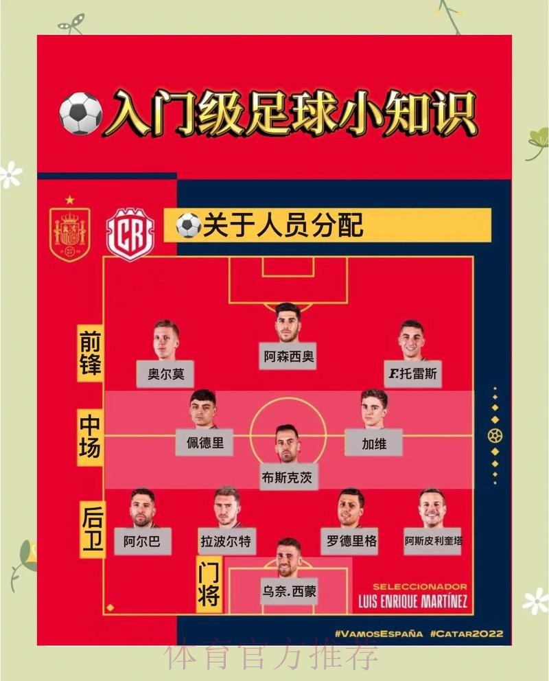 全面解析世界杯滚球投注策略计划